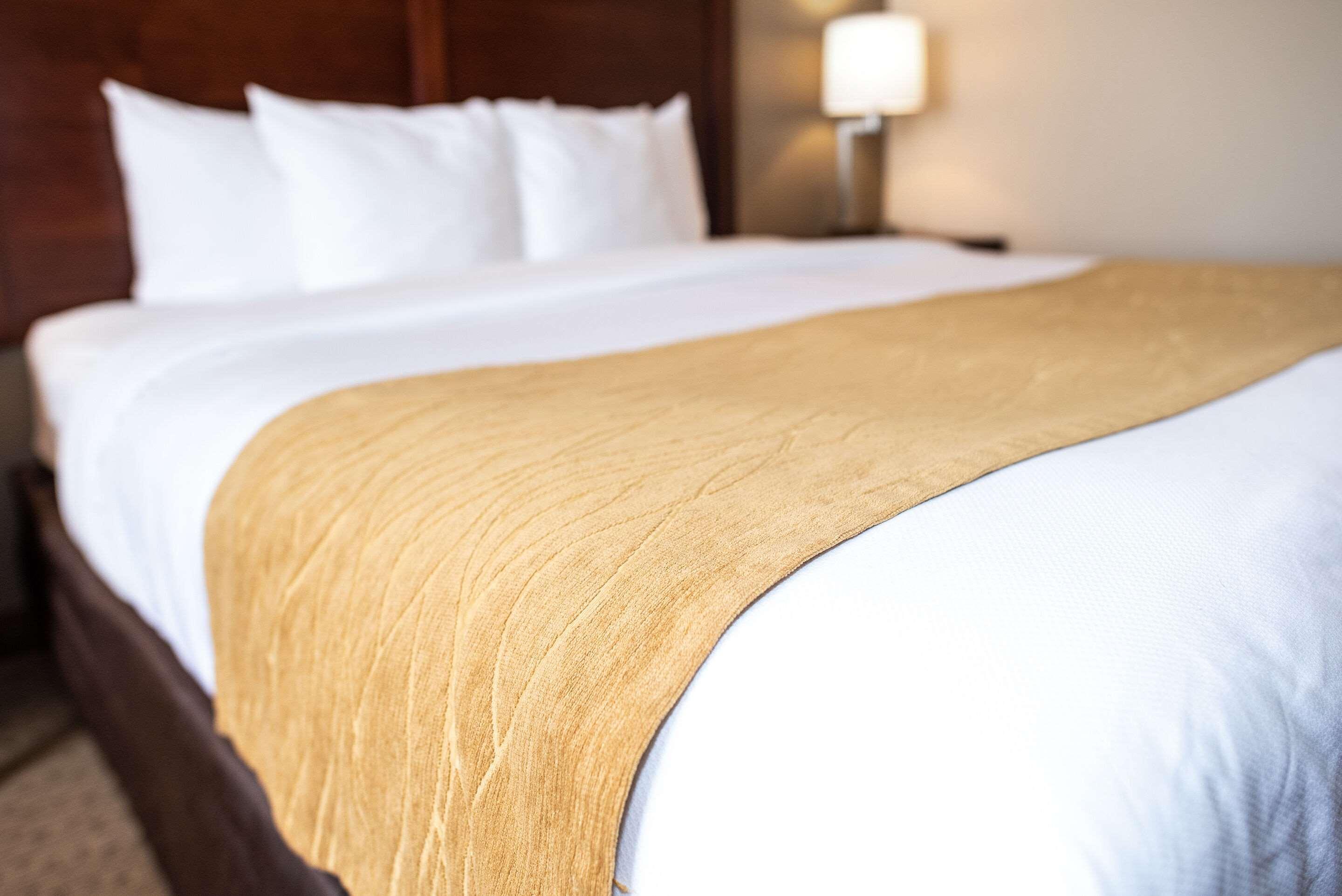 Comfort Inn & Suites Custer Eksteriør billede